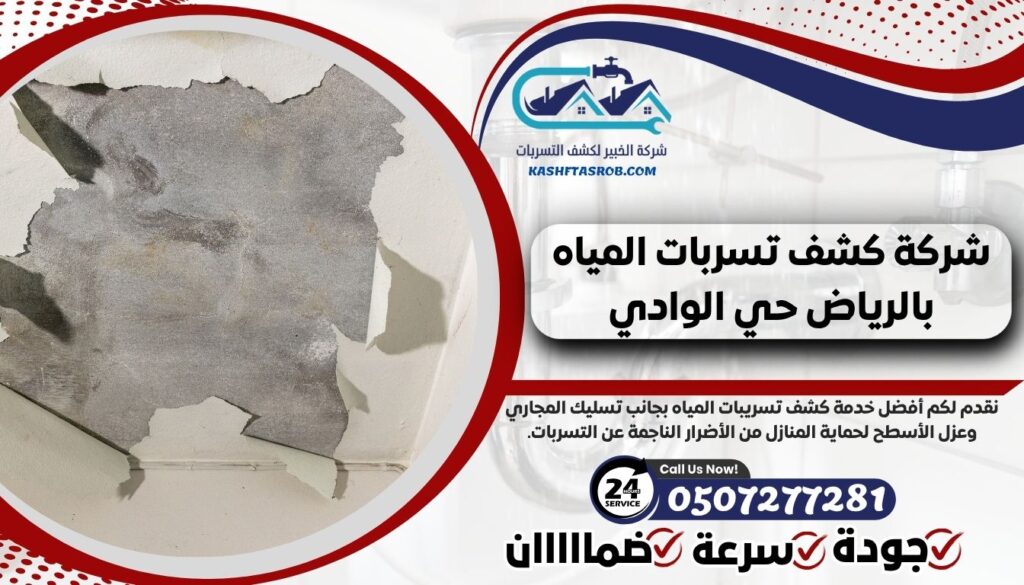 شركة كشف تسربات المياه بالرياض حي الوادي 2 شركة كشف تسربات المياه بالرياض حي الوادي