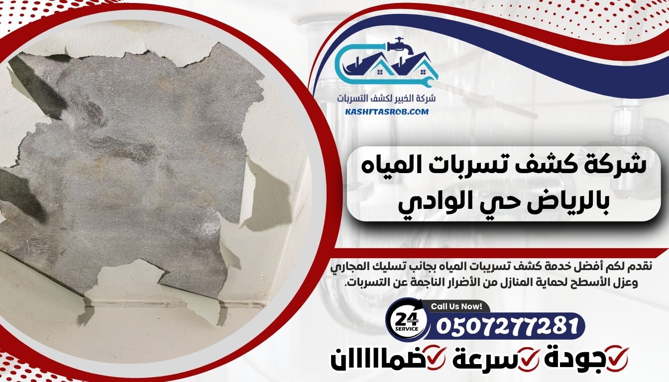 شركة كشف تسربات المياه بالرياض حي الوادي